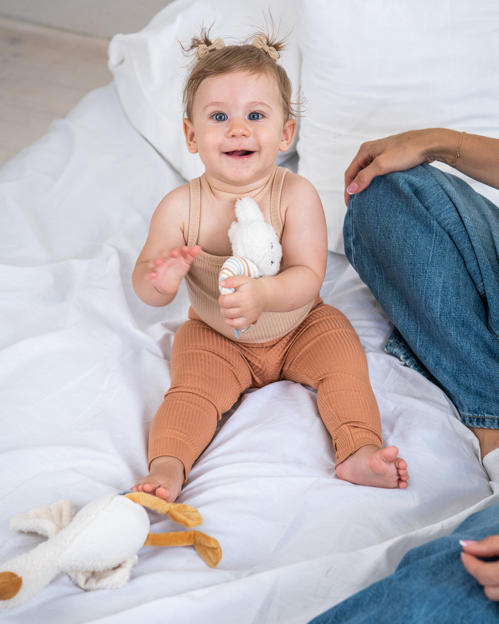 Rebraste helanke - breskva