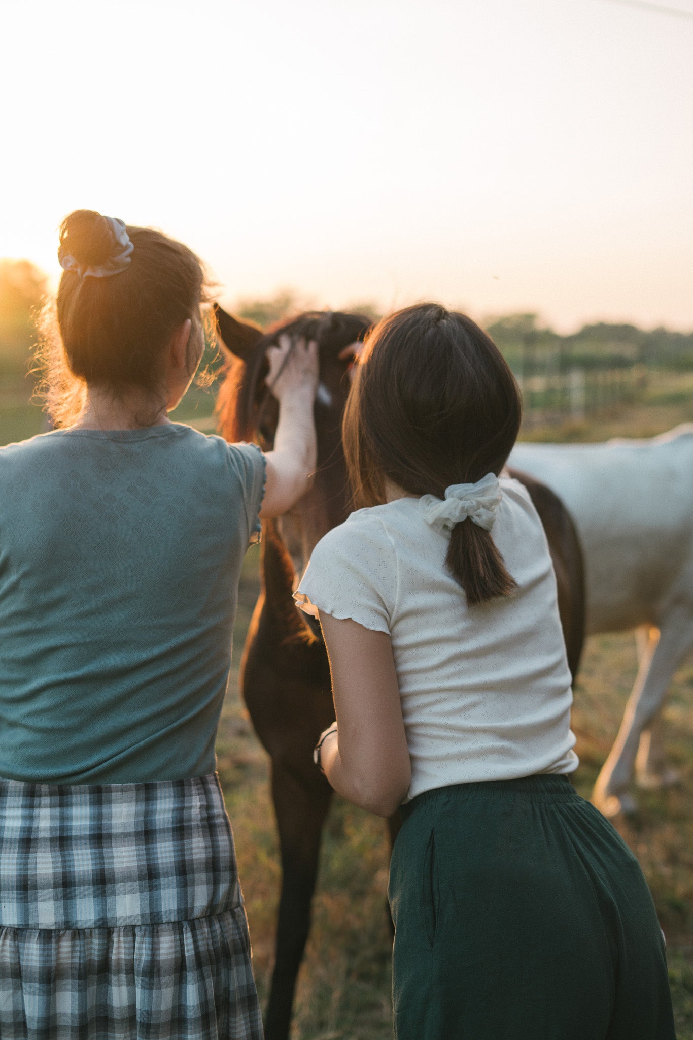 Мајица Катја - петролеј