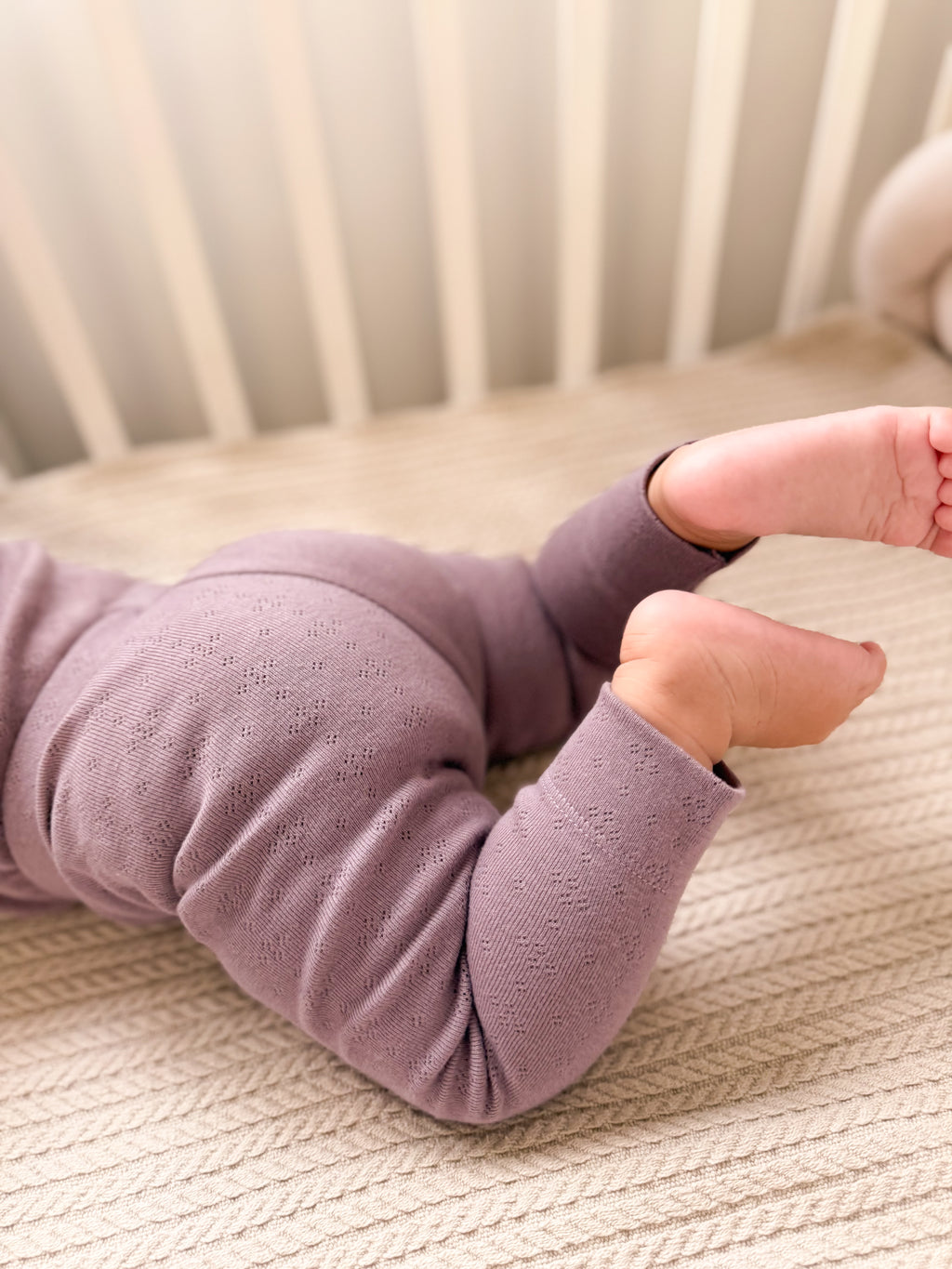 Helankice - ljubičasta