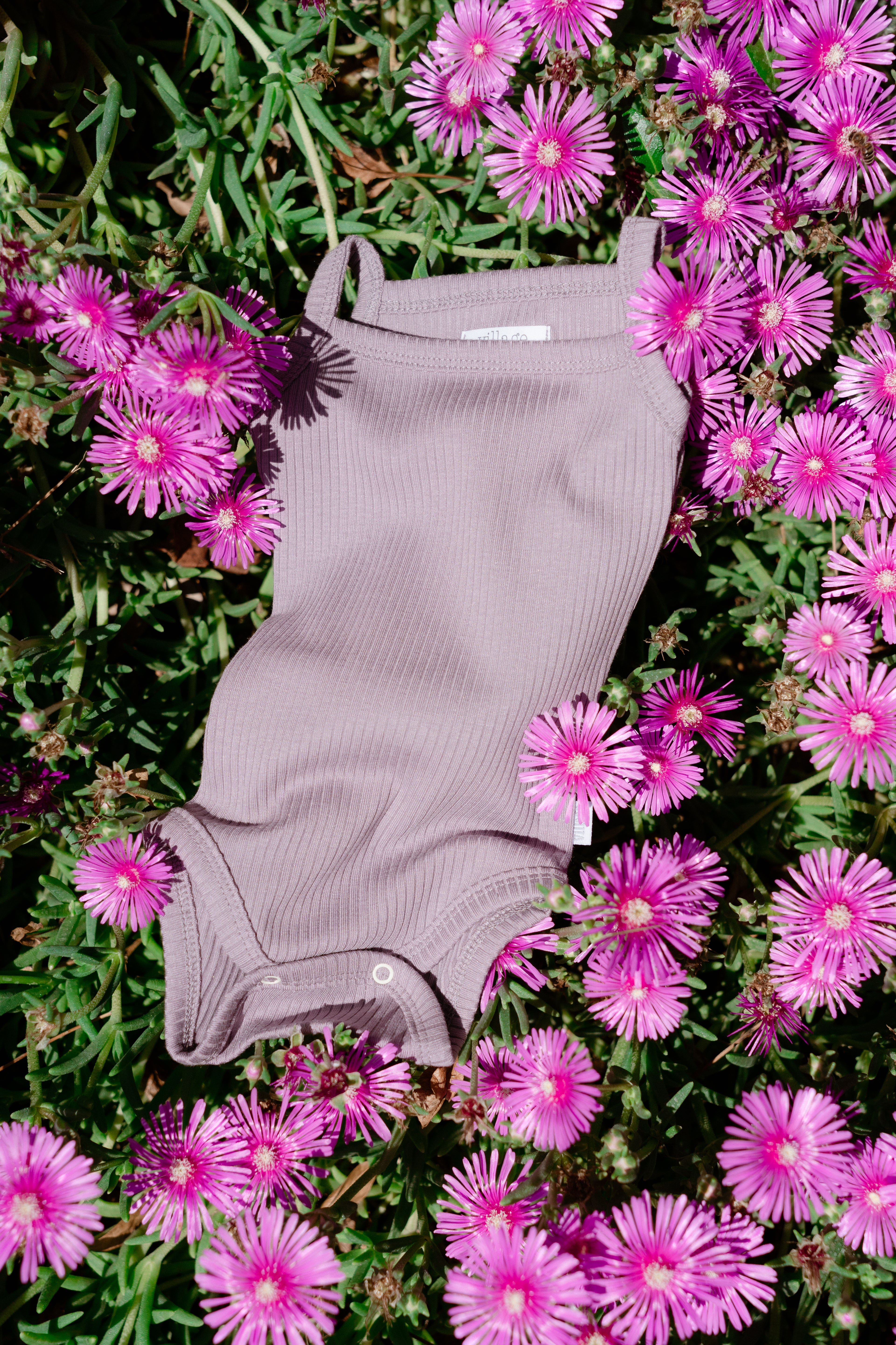 Rebrasti bodi na bretele- ljubičasta