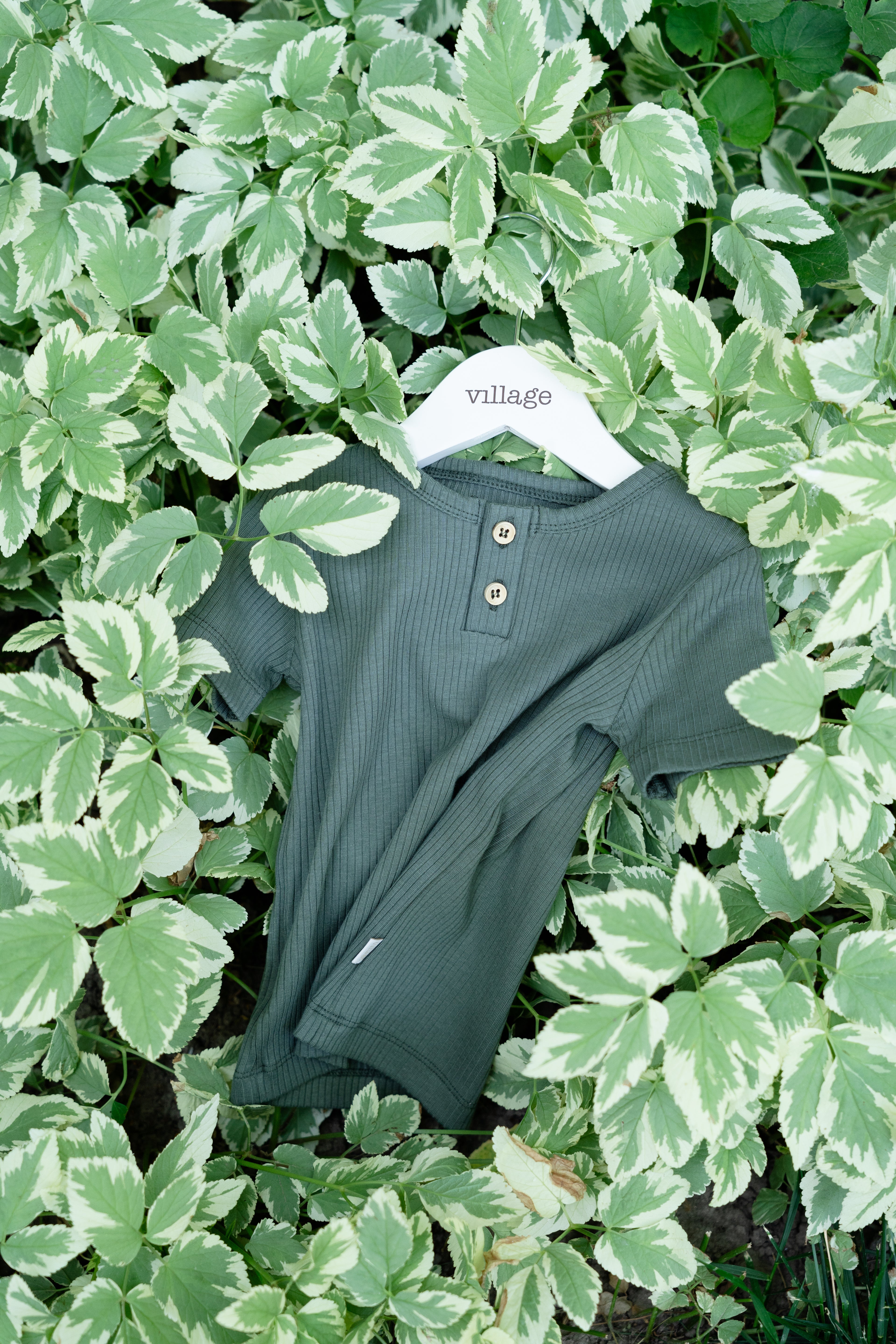 Ribbed short-sleeved shirt - green
