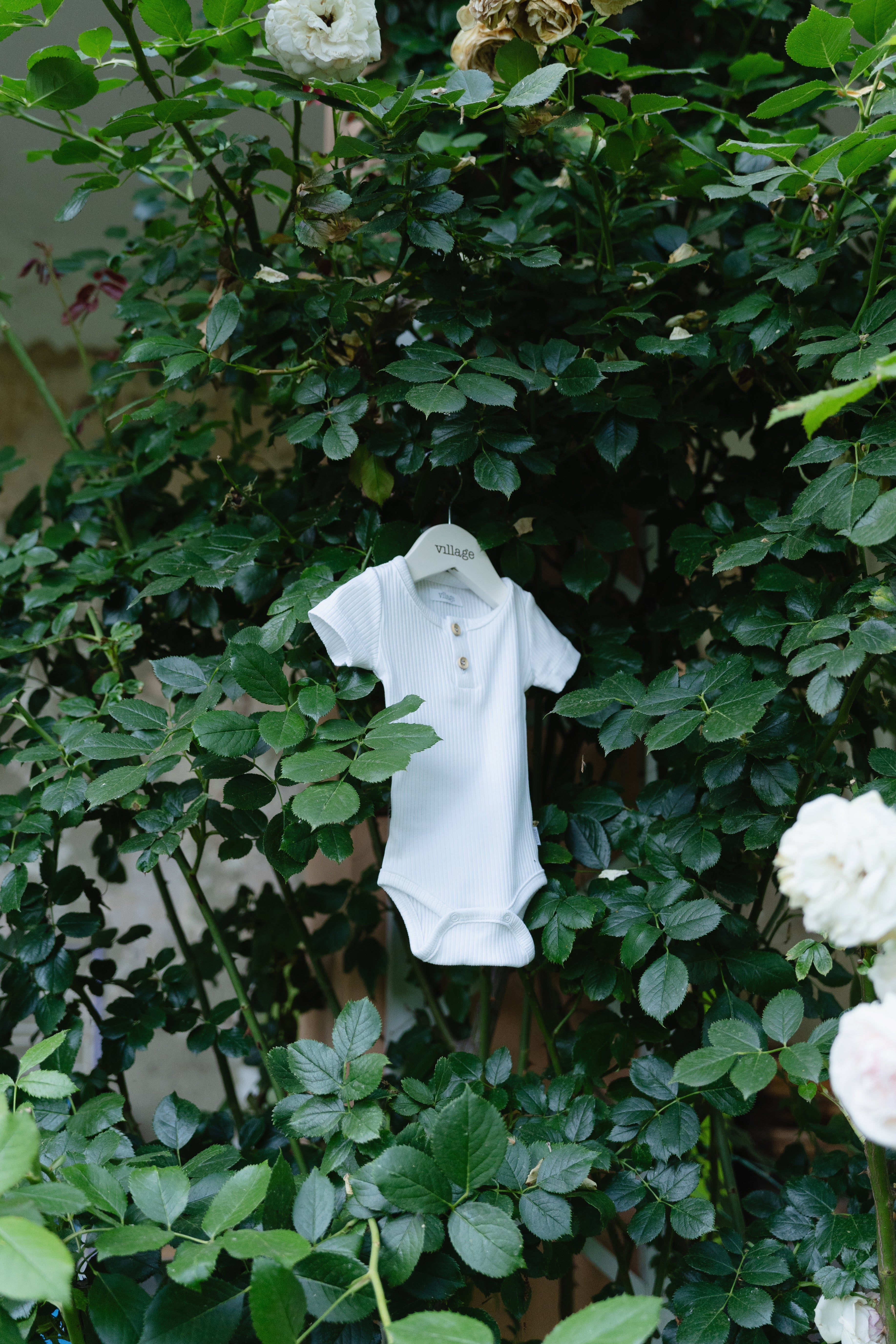 Ribbed body with short sleeves - white