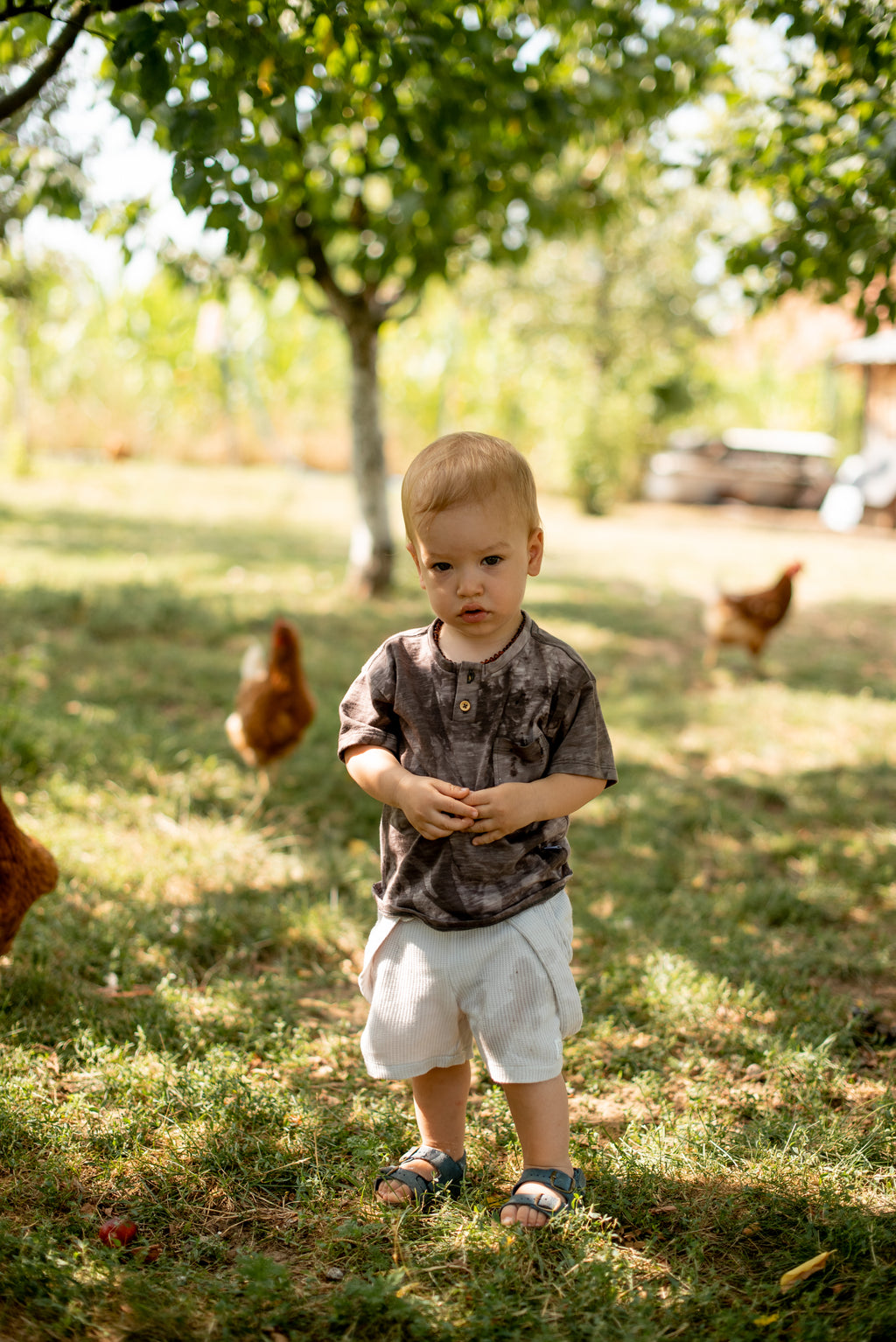 Boy's T-shirt- brown