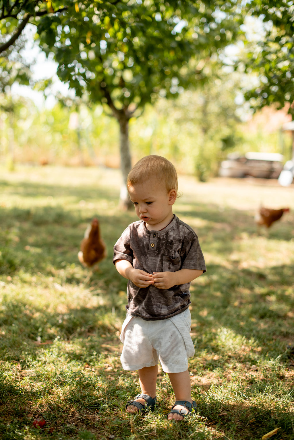 Boy's T-shirt- brown