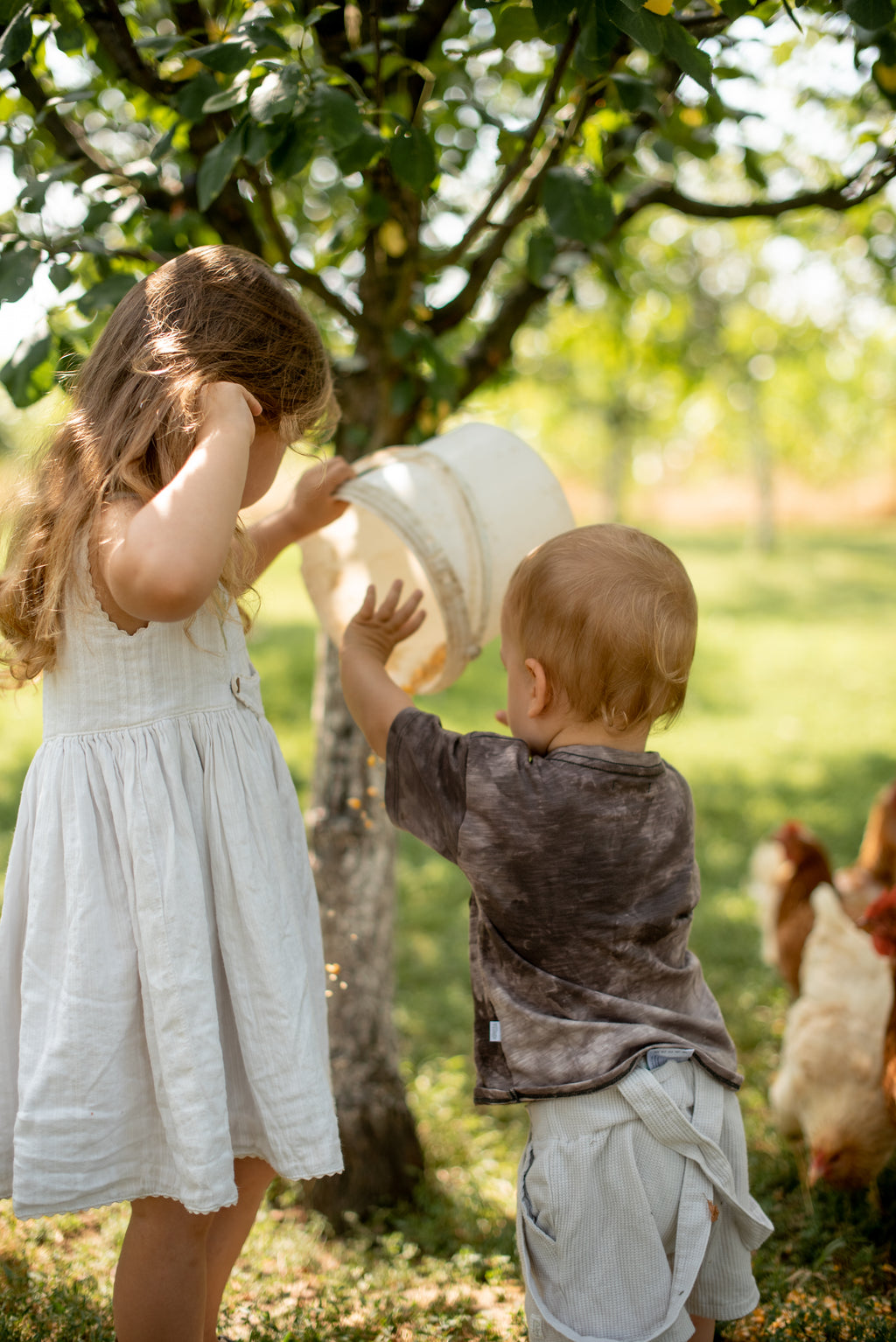 Boy's T-shirt- brown