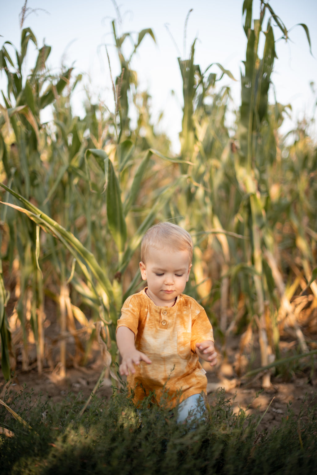 Мајица за дечаке - жута