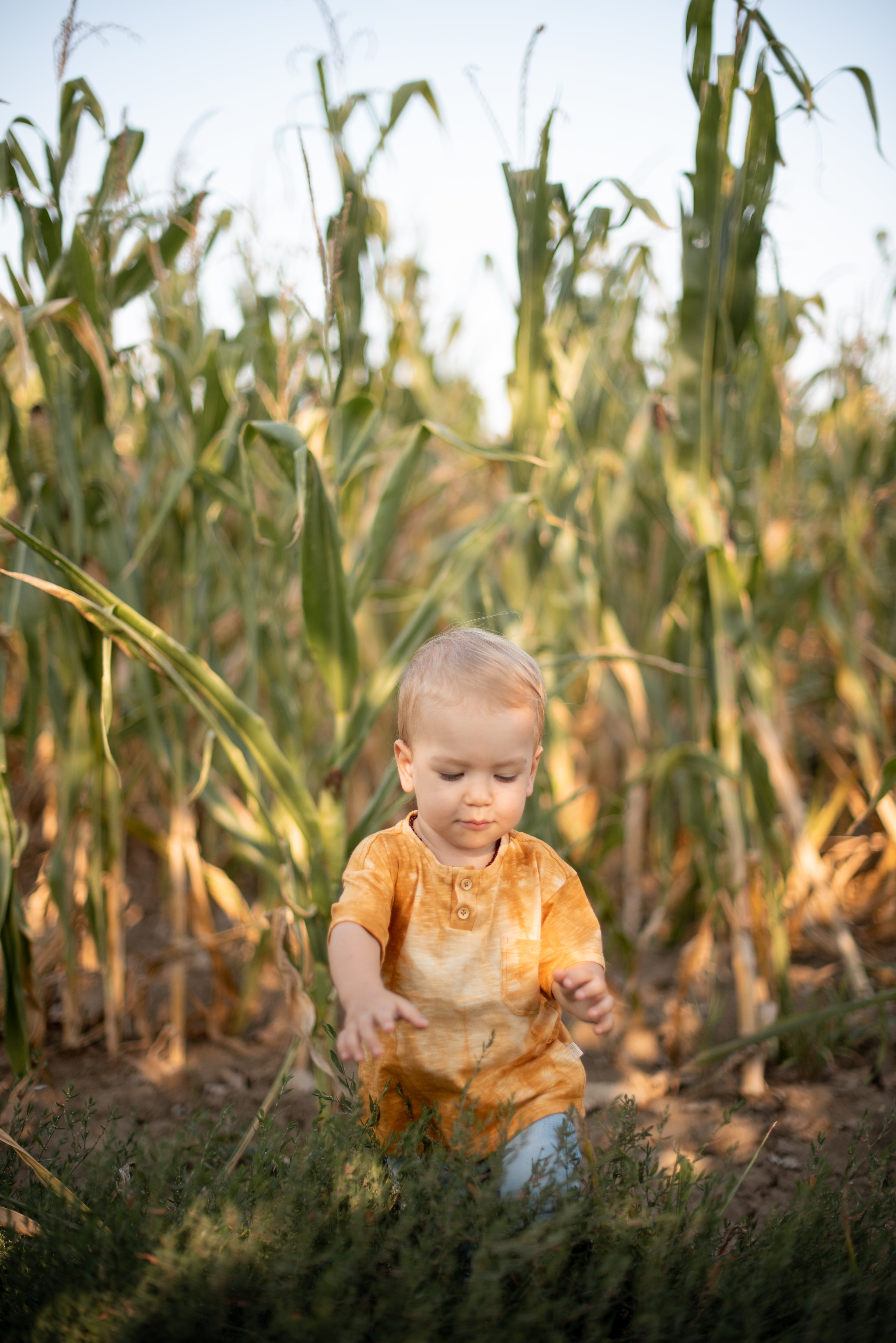 Majica za dečake- žuta
