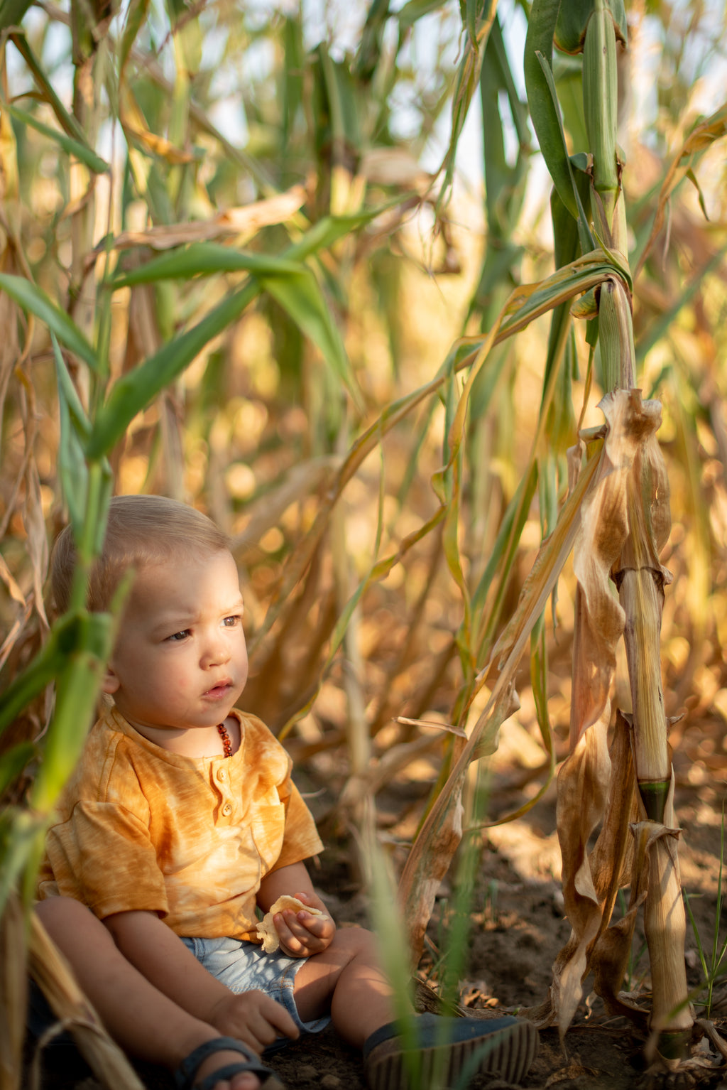 Мајица за дечаке - жута