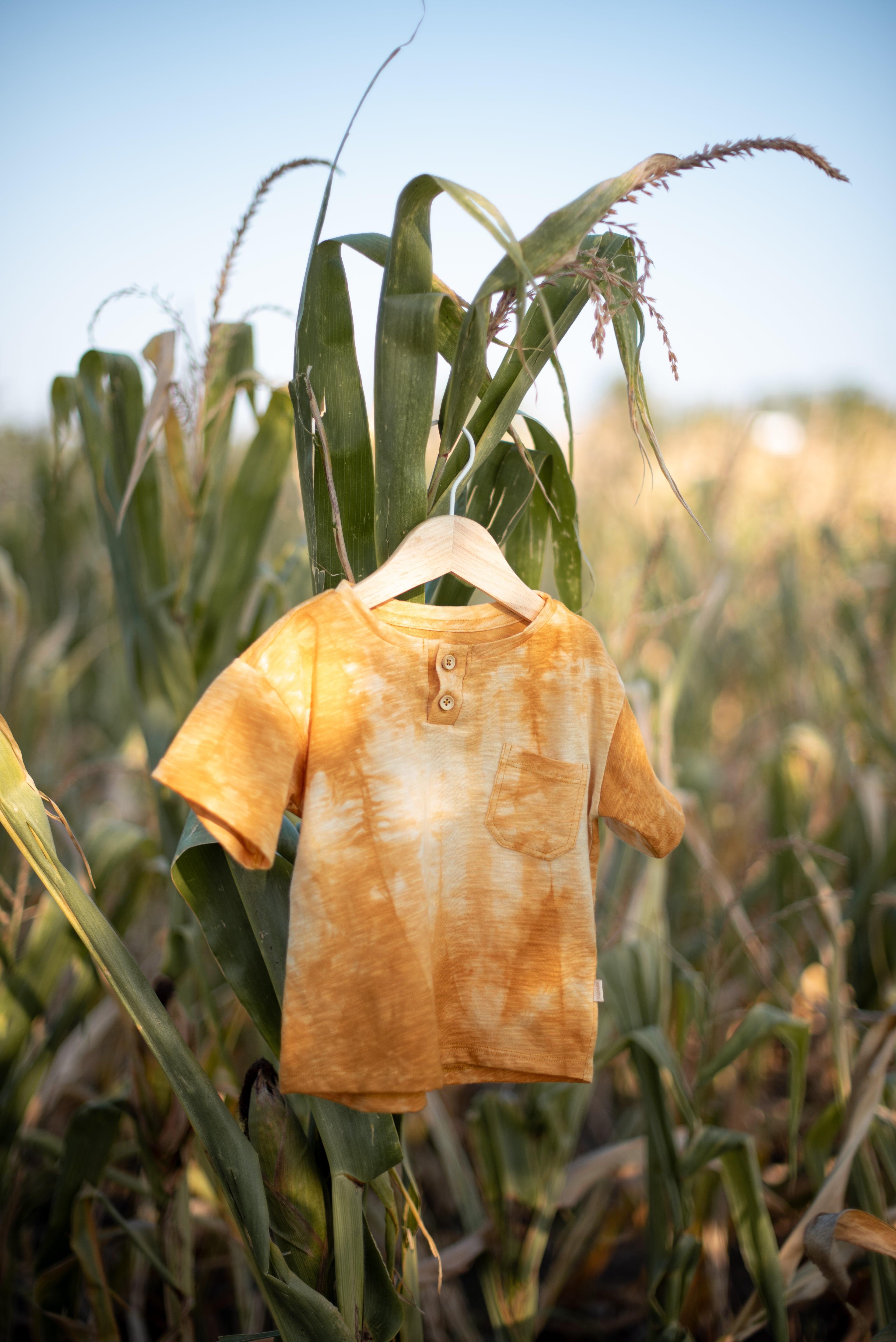 Majica za dečake- žuta